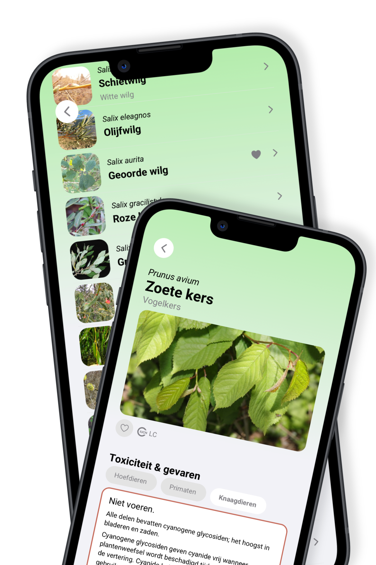 BrowseBuddy-scherm met informatie over giftigheid en voedingsrisico’s